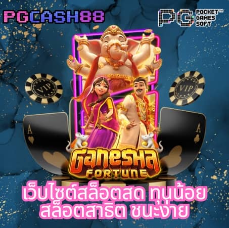 ดาวน์โหลด pg ล่าสุด